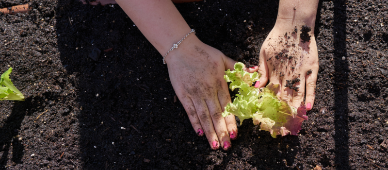 Coltivare la comunità del cohousing